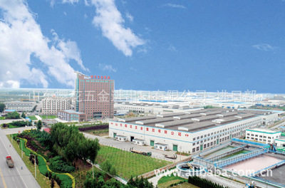 进口原装穆斯林食品 优质清真饼干与薄饼供应